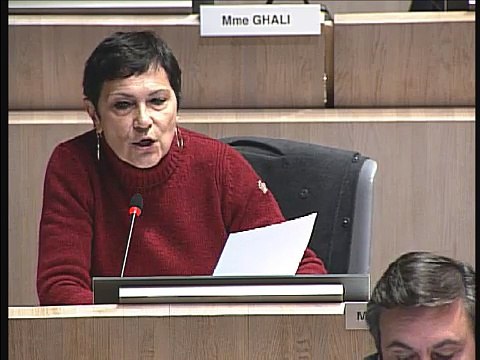 Marie-Arlette Carlotti intervient pour défendre les commissariats à Marseille