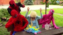 Superhero misic party - Spiderman & Pink Girl & Frozen Elsa w/ Deadpool Superheroes in real life