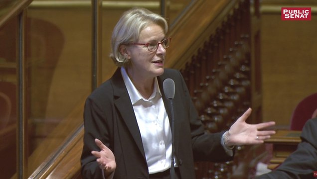 Loi Montagne - L'absence de réseau en montagne est due à la privatisation des télécoms : Évelyne Didier