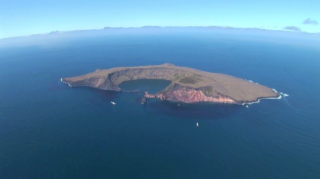Ségolène Royal annonce le projet d’extension de la Réserve naturelle nationale des Terres australes françaises