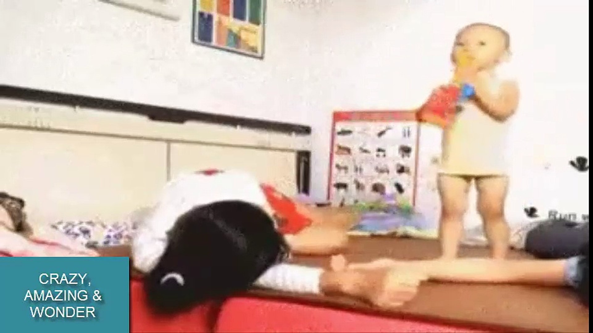 crazy comedies