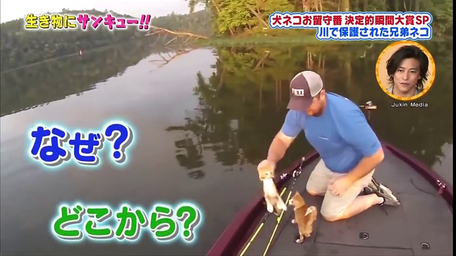 生き物にサンキュー トコトン掘り下げ隊 ネコのお留守番 2016年12月14日 動画 Dailymotion