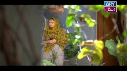 Babul Ki Duayen Leti Ja - Episode 31 on Ary Zindagi in High Quality - 14th December 2016