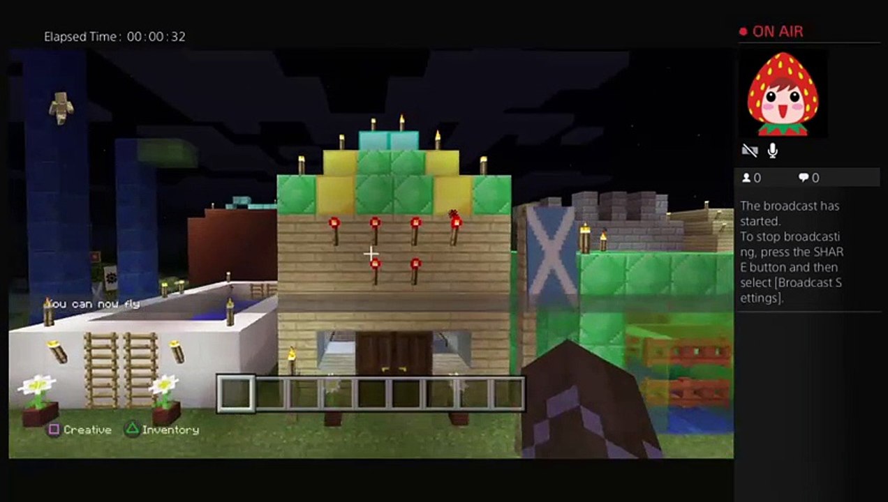 Minecraft world tour (10)