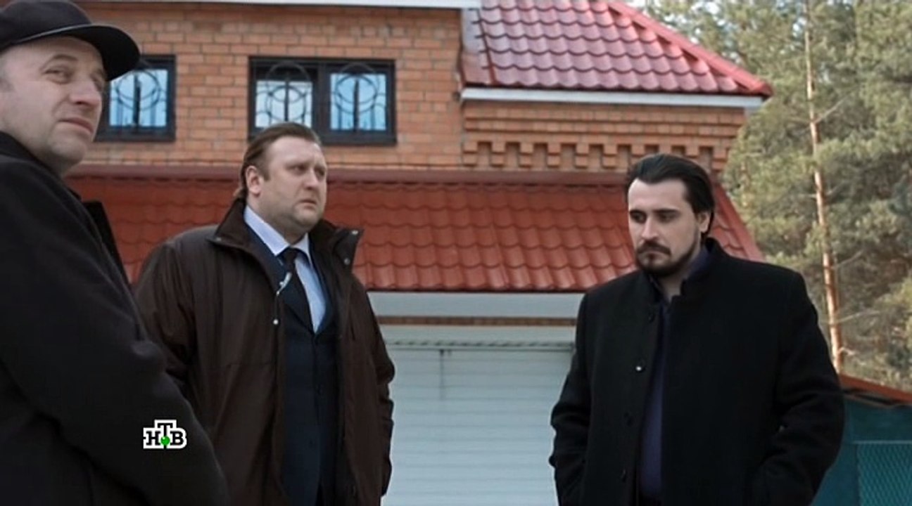 Шелест 11 Серия 2016