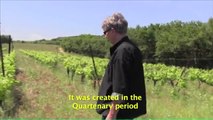 Volcanic soil on Languedoc and how it helps wine grapes to grow