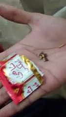 See What Came Out From When a Guy Opened Shahi Supari ??