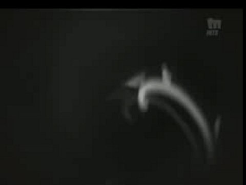 zakipo4 vs tamer-hosni_ya-bent-el-eh