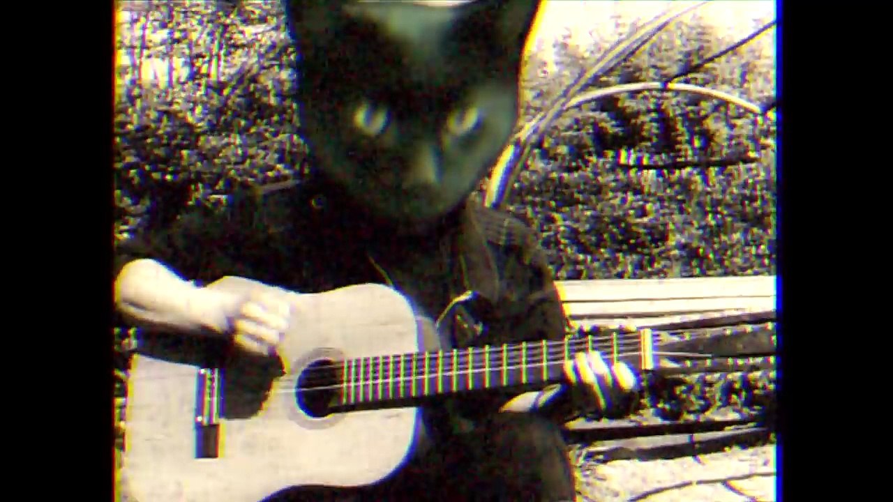 Кот - Восьмиклассница