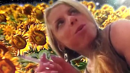 Enjoykin - Семечки