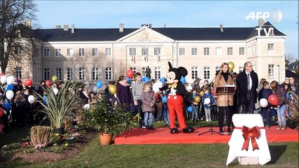 Disney cultive ses origines normandes à Isigny