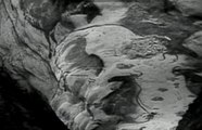 Grottes de Lascaux - Pour la découverte 