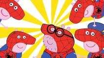 PEPPA PIG SPIDERMAN Finger Family | Daddy Finger Nursery Rhyme Song #Animation For Kids & Toddlers