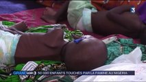 Le Nigéria, un pays rongé par la famine