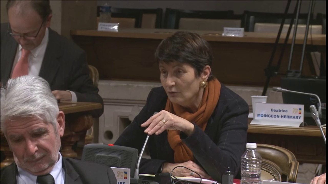 Christine RENAUDIN-JACQUES et Paul ROBINAT. Contribution financière 2017 au SDIS21. Session de décembre 2016