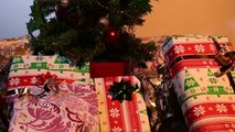 PAW PATROL ❆ Cadeaux de Noël ❆ Pat Patrouille Everest et son Chasse Neige