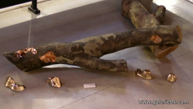 Romain Langlois - Platane