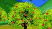 Red Red Apples - Nursery Rhymes | Learning English Preschool Rhymes For Children