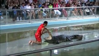 Cet homme réussit à mettre sa main dans l'estomac d'un crocodile vivant
