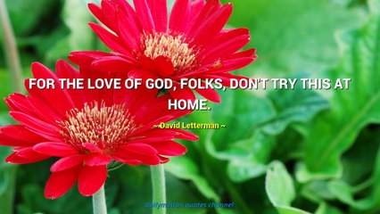 David Letterman Quotes #1