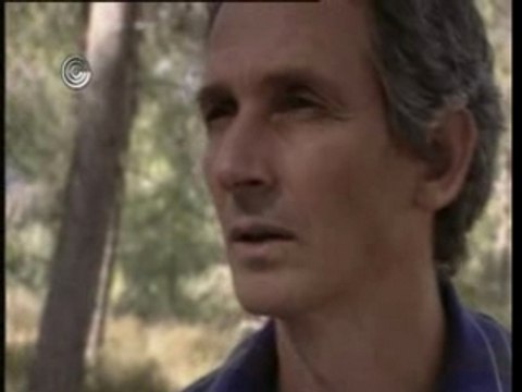 תקומה - פרק 6 - בצל השואה - חלק 2