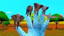 Finger Family Rhymes for Children Elephant Giraffe Horse Cartoons | Finger Family Nursery Rhymes
