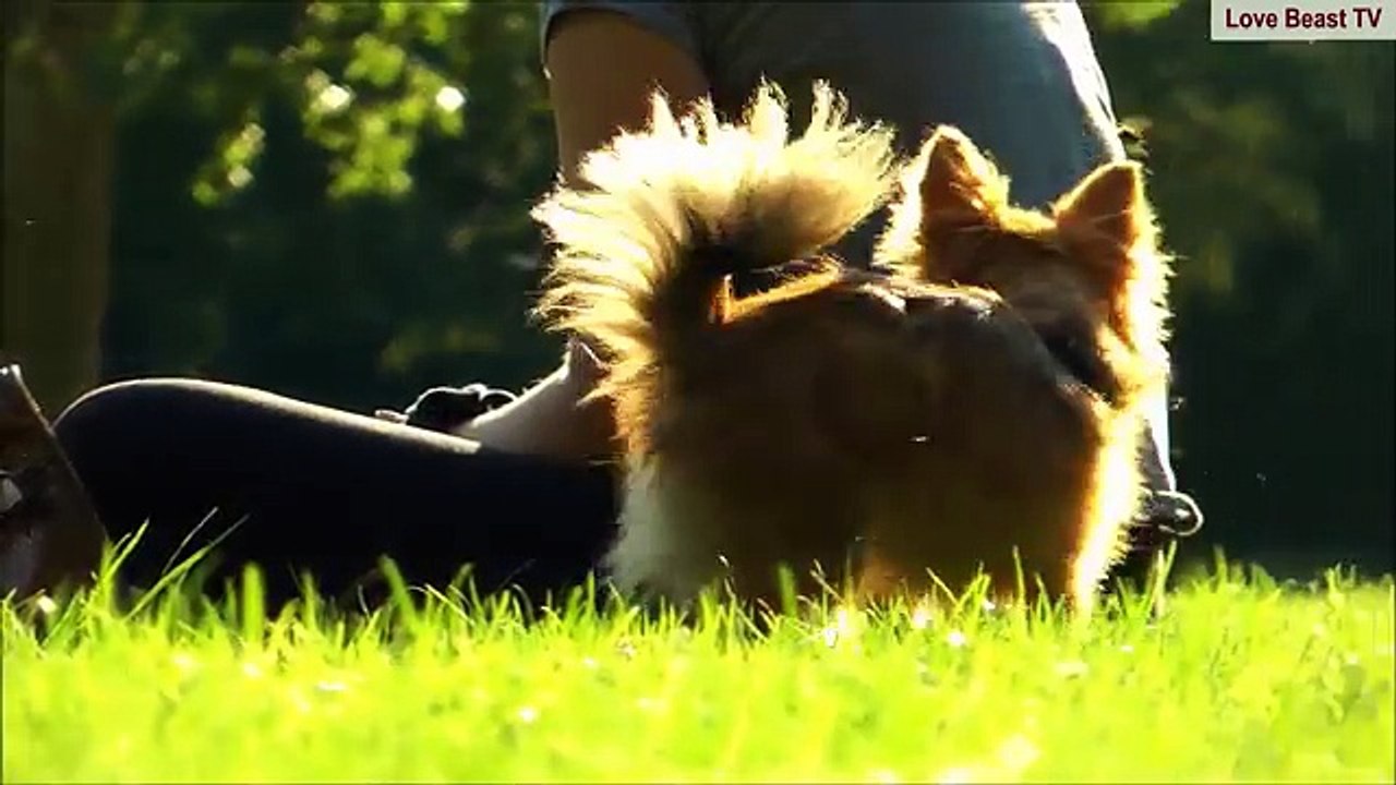 A GIRL and her DOG (18+) - Una niña y su perro - पशु प्रेम - الحب الحيوان