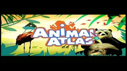 Animal Atlas Esp Trailer.mp4