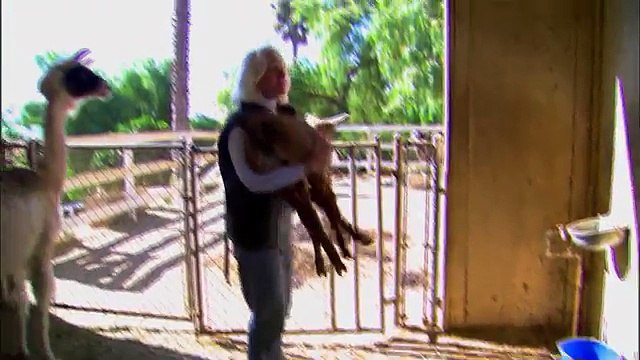 Animal Atlas From Home to Farm to Wild - video Dailymotion