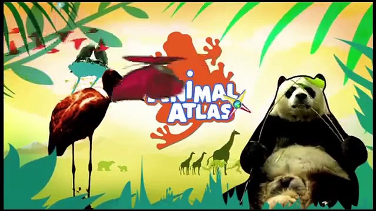 Animal Atlas, Animals of Africa (2)