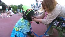 Dog’s Day at Magic Kingdom Park   Walt Disney World