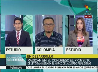 Colombia: radican Ley de Amnistía para garantizar seguridad de FARC-EP