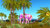 Colors Animals Cartoons For Children | Elephant Dinosaurs Lion Cartoon Finger Family Nursery Rhymes