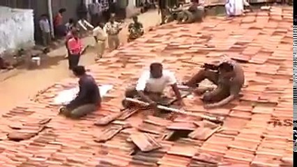 خطير ! هجوم نمر شرس على قرية في الهند وللمرة الثانية لم يستطيع احد إيقافه !