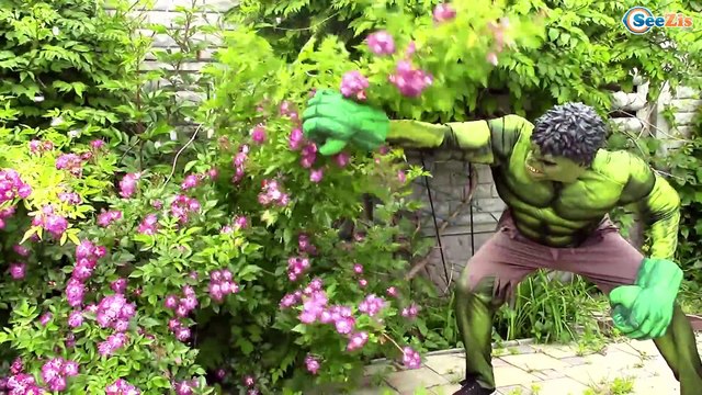 Superheroes in Real Life! Spiderman vs Hulk & Frozen Elsa w/ Pink Girl Superheroes play hide & seek