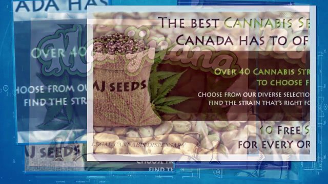 Legal Weed for Sale/ Buy Marijuana Online/ Marijuana Edibles/ Hash Oil/ Cannabis Oil/ CBD Oil