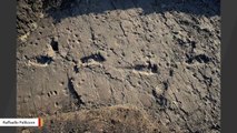 Scientists Discover 3.6-Milion-Year-Old Early Human Footprints