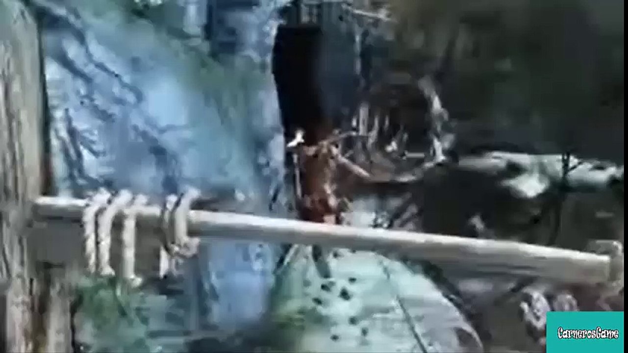 Tomb Raider 1 - gameplay no commentary ps3  Part 5