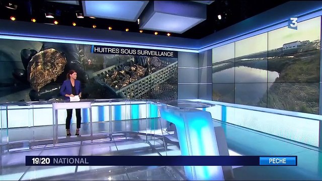 Huîtres : comment les ostréiculteurs trouvent la parade aux vols