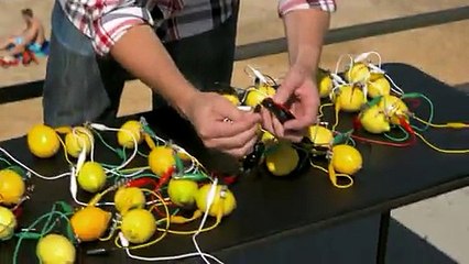 Phone Charging with Lemons