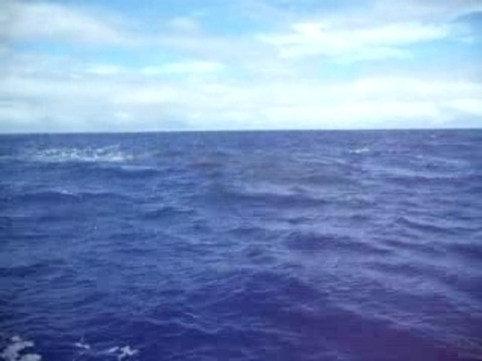 souffle de la baleine