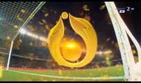 All Goals & Highlights HD - PSG 3-1 Lille - 14.12.2016