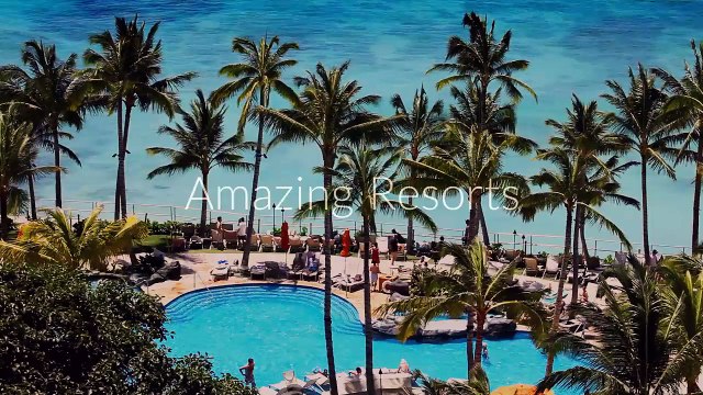 Tripps Travel Network