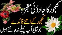 Khajoor Ke Faidy   Health Benefits of Dates in Urdu