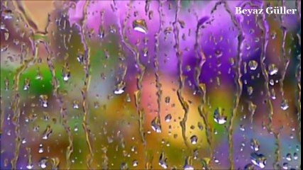 Beyaz Güller-Arif Susam