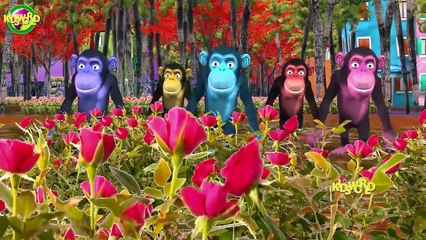 Monkey Dance || Music For Children || 3D Animated Songs || Children Songs