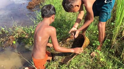 Amazing Children Catch Turtle Using Traditional Tools (Chhneang) | How To Catch Turtle In Cambodia