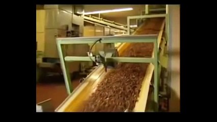 WAW ! Sehari bisa jutaan batang rokok diproduksi