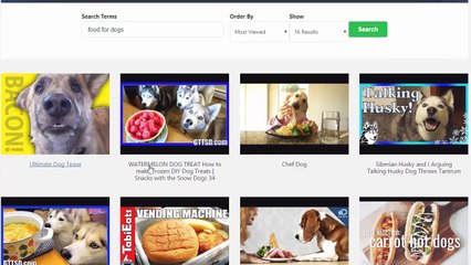 WP Contentio Demo by Neil Napier