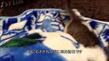 荒谷竜太のギラギラ動画No.35